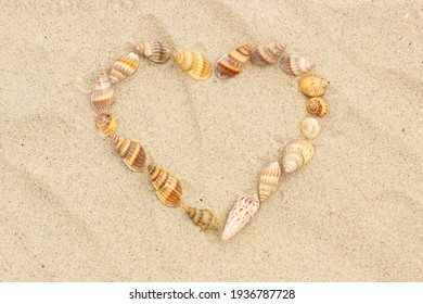 Heart Of Shells On Sand At Beach, Symbol Of Love, Summer Time