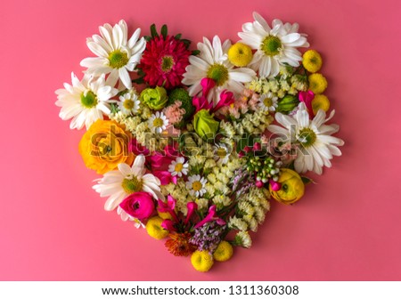 Similar – Image, Stock Photo Summer flowers frame on green
