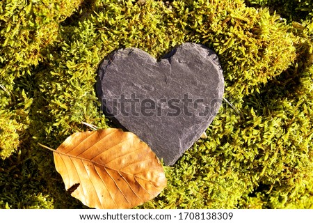 Heart sympathy or funeral heart, Blank slate heart lying in moss. copy space for text. Natural burial grave site, showing blank memorial plaque on grass or moss. tree burial and All Saints Day concept
