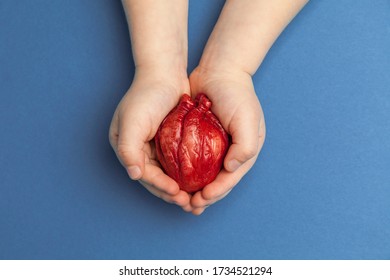 Heart Transplant, Children Hands Holds Organ On Blue Background. Coronary Surgery, Care For Organ.