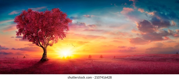 Heart Tree - Love For Nature - Red Landscape At Sunset - Shutterstock ID 2107416428