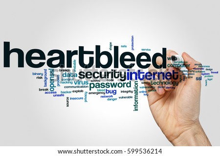 Heartbleed word cloud concept
