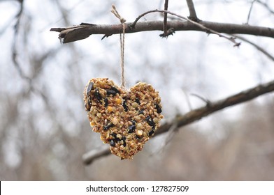 Heart-shaped Bird Feeder