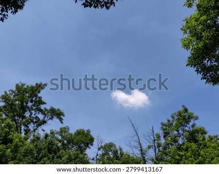 Heart-shaped cloud floating in a clear blue sky. Nube en forma de corazón flotando en un cielo azul despejado