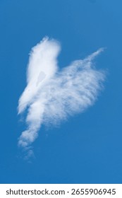 A heart-shaped cloud floating in the sky, captured in a vertical frame