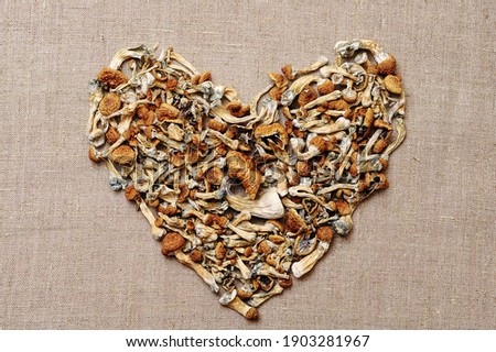 Heart-shaped dry psilocybin mushrooms on beige background. Psychedelic, mind-blowing, magic mushroom. Medical use. Microdosing. Valentines day concept.