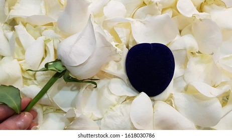 The Heart-shaped Jewelry Box On A Background Of White Rose Petals And A White Rose In A Female Hand. View From Above.