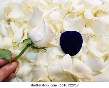 The Heart-shaped Jewelry Box On A Background Of White Rose Petals And A White Rose In A Female Hand. View From Above.