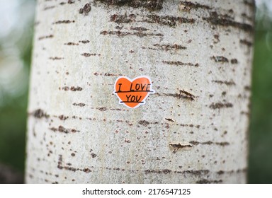 Heart-shaped sticker and the text "I love you". Heart and "I love you" on the bark of the tree. Love, feelings, couple relationships - concept.