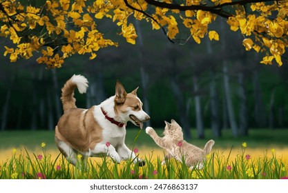 A Heartwarming Moment with a Dog and Cat at Play, Puppy And Kitten, Dog and Cat Playing Together - Powered by Shutterstock