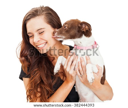 Heart-warming photo of a little crossbreed dog in the arms of a beautiful young girl, licking her face