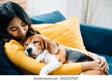 A heartwarming scene of togetherness, a young Asian woman and her Beagle dog nap on the sofa in the living room, epitomizing the concept of trust, happiness, and love at home. Pet love - Powered by Shutterstock