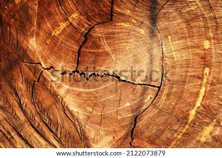 Heartwood pattern pattern for background applications.