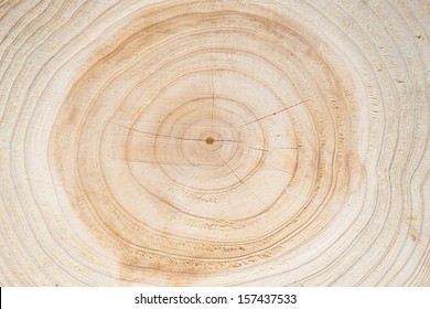 heartwood texture background