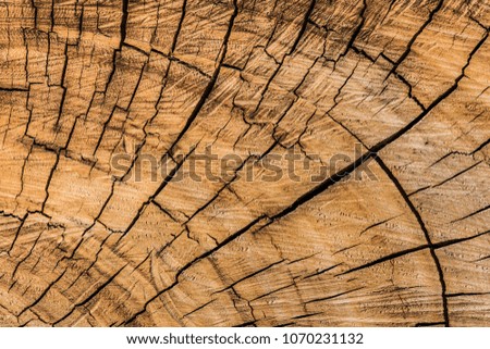 Similar – Luftaufnahme der blauen Meereswellen und des wunderschönen Sandstrandes in Portugal.