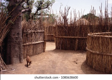 Heat damaged fast reversal film. Pictures from the mid-90's of N.E. Nigeria. A goat wanders round the compound of a traditional Nigerian village.