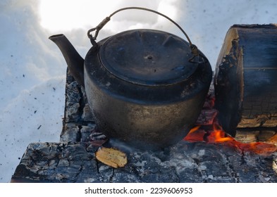 heat a kettle on logs in the forest. campfire nodya. High quality photo - Shutterstock ID 2239606953