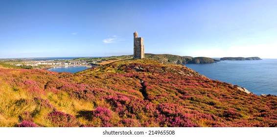Heather in Bloom on Brada Head. Panorama of South of the Isle of Man with Milner Tower. Port Erin on the Right and Calf of Mann on the left.