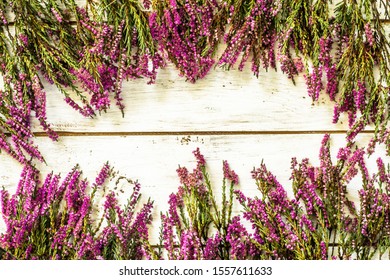 Heather flowers on wooden background