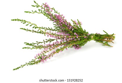 Purple Heather Flowers Isolated On White Stock Photo (Edit Now) 1006477309