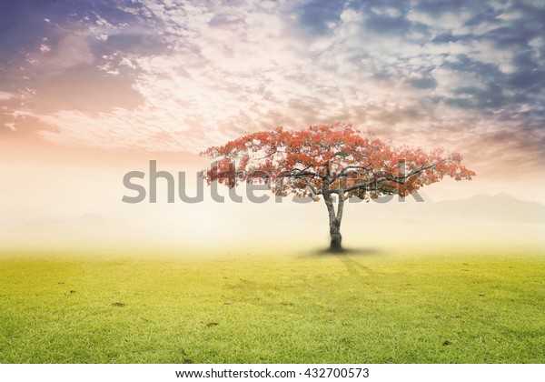 Heaven Concept Garden Eden Where Adam Stock Photo (Edit Now) 432700573