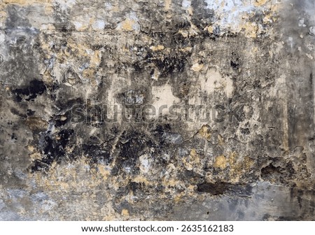 heavily decayed wall featuring peeling paint, black mildew stains, and weathered concrete with signs of erosion and moisture damage. The wall surface shows pronounced wear from time.