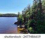 Heavily forested rocky shore of the Ottawa River in western Quebec