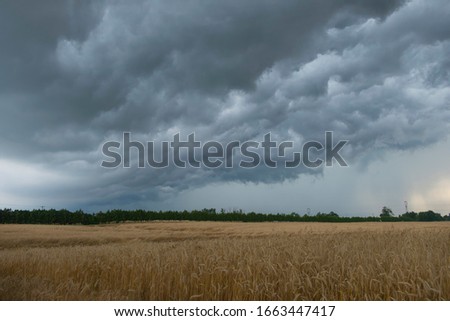 Similar – Image, Stock Photo View over wheat field near Inningen in Bavaria with bright blue sky