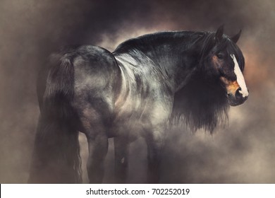 Heavy Draft Horse