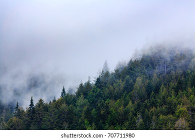 Heavy fog descends on mountain in Sequoia National Park - Shutterstock ID 707711980