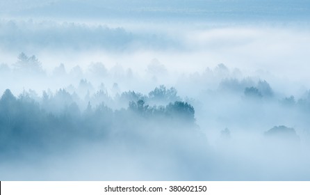 Heavy Fog In The Forest View From Above