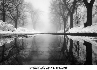 Heavy fog on street with trees in empty city. Reflection in water