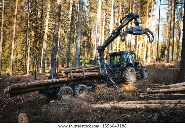 \
Heavy\
industrial machinery working in the forest. Harvester in a spruce\
forest working with logs. Heavy machinery.\
