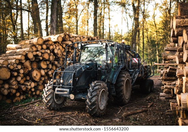 
Heavy
industrial machinery working in the forest. Harvester in a spruce
forest working with logs. Heavy machinery.
