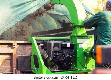 Heavy Industrial Vaccuum Loader Loading Fallen Leaves And Junk Into Truck Body. Municipal Services Cleaning Park Area Removing Foliage And Debris