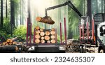 The heavy machine harvester working in a forest. Wooden logs lifting with lambrtjack. Agriculture and forestry concept. panorama photo