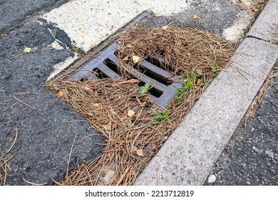 Heavy Metal Roadside Storm Drain Partially Blocked By Pine Needles