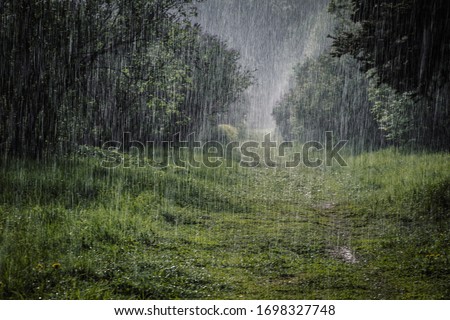 Heavy rain in the Botanical Garden