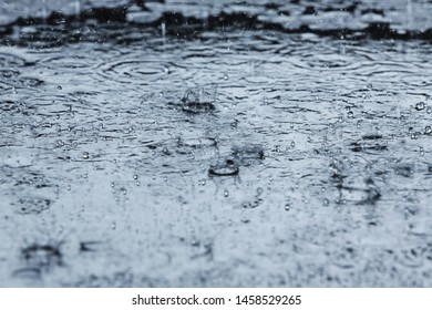 Heavy rain falling down into puddle outdoors