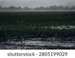 Heavy rain falling over layered fields and distant trees, creating a misty atmospheric landscape