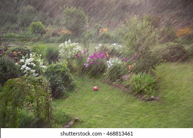 Heavy Rain In The Garden