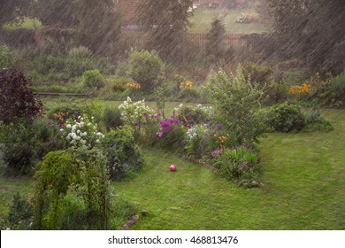 Heavy Rain In The Garden