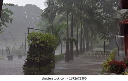 
Heavy Rain With The Hail Storm In  New Delhi Near India Gate Dated 14-3-2020.