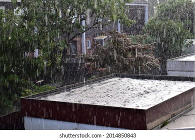 Heavy Rain On A Flat Roof Against Bushes, Trees And Some Houses