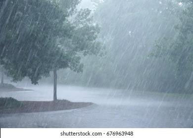 Heavy Rain And Tree In The Parking Lot