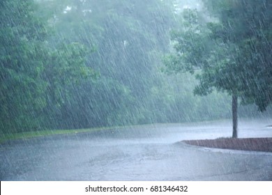 heavy rain and tree in the parking lot - Shutterstock ID 681346432