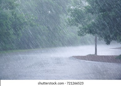 Heavy Rain And Tree In The Parking Lot