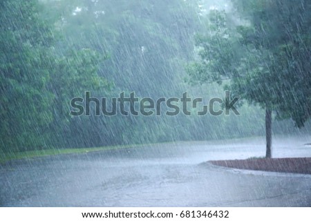 heavy rain and tree in the parking lot