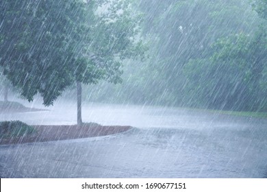 heavy rain and tree in the parking lots         - Shutterstock ID 1690677151