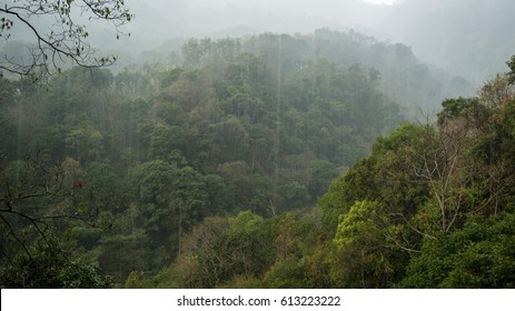 Heavy Rainfall In Amazon Rain Forest